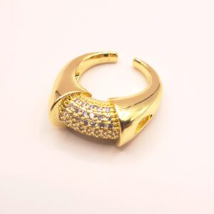 Anillo Legame