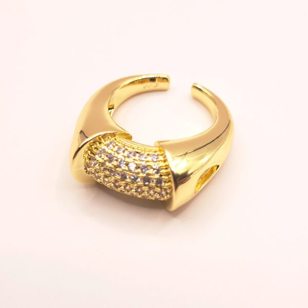 Anillo Legame